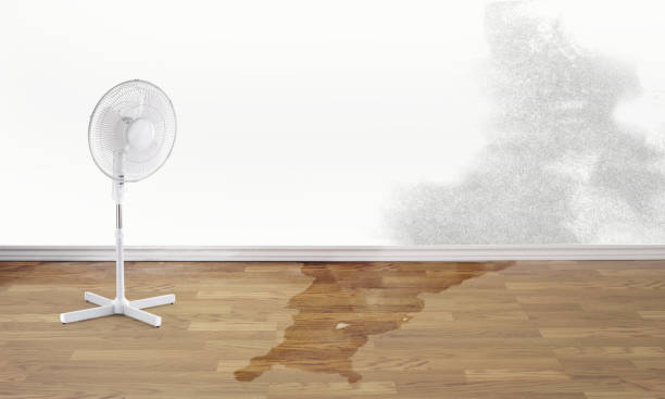 Best Flood restoration services  in Homestead, PA
