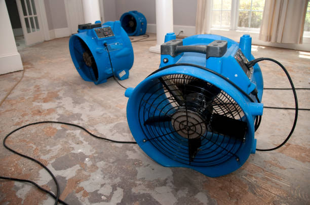 Homestead, PA Water damage restoration Pros
