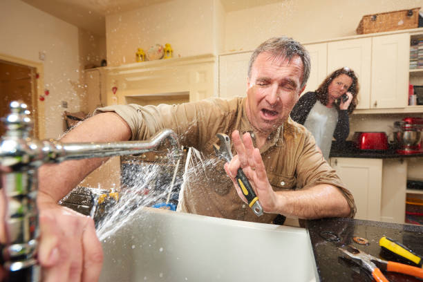 Best Water damage restoration near me  in Homestead, PA